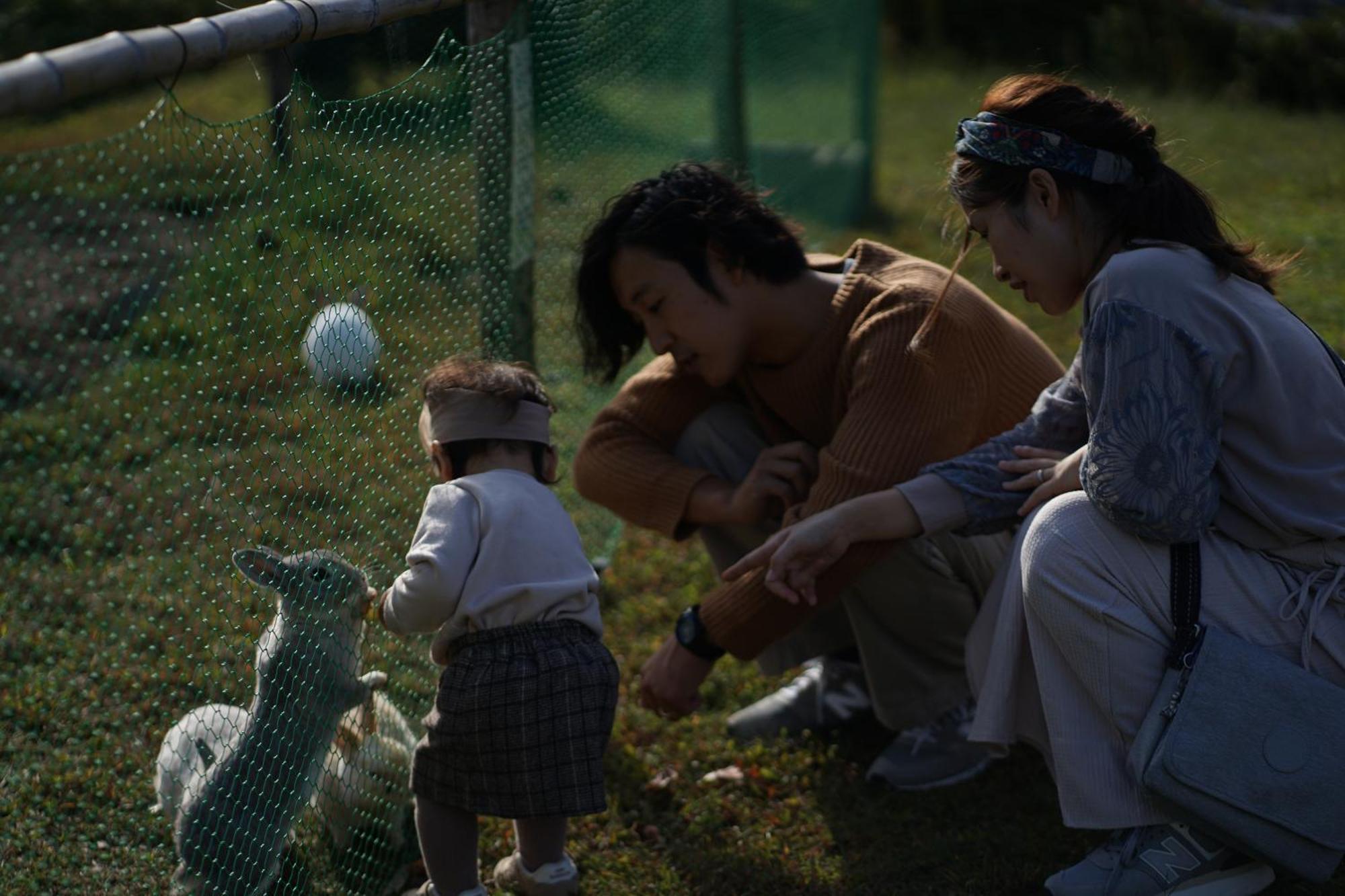 Kyoto Fururu Farm
